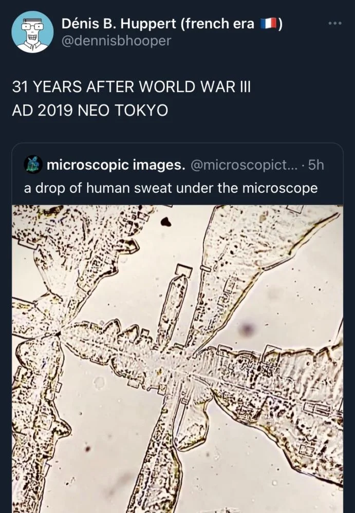 a QT of a microscopic image of human sweat which looks curiously like the overhead map of Neo Tokyo at the beginning of Akira, and a caption from me remarking as much