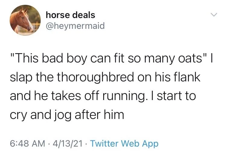 "This bad boy can fit so many oats" I slap the thoroughbred on his flank and he takes off running. I start to cry and jog after him