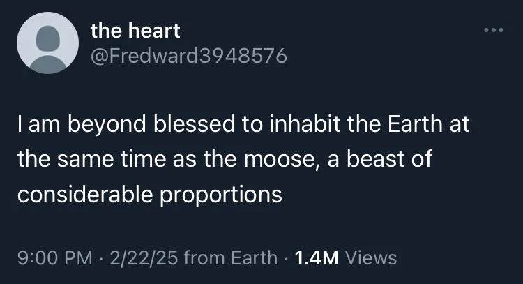 I am beyond blessed to inhabit the Earth at
the same time as the moose, a beast of considerable proportions