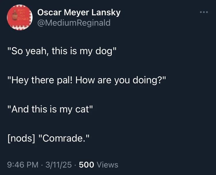 Reginald
"So yeah, this is my dog"
"Hey there pal! How are you doing?"
"And this is my cat"
[nods] "Comrade."