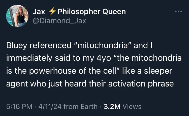 Bluey referenced "mitochondria" and I immediately said to my 4yo "the mitochondria is the powerhouse of the cell" like a sleeper agent who just heard their activation phrase