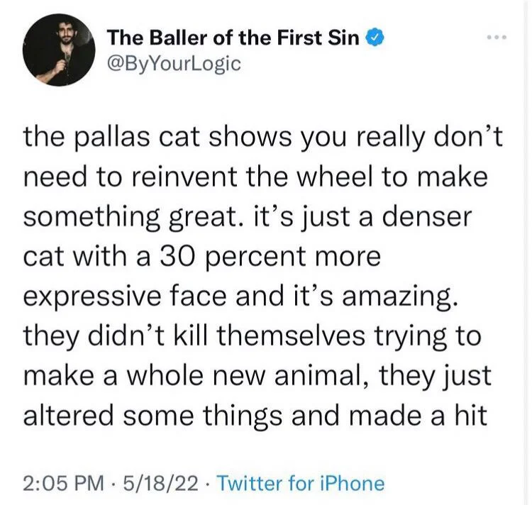 the pallas cat shows you really don't need to reinvent the wheel to make something great. it's just a denser cat with a 30 percent more expressive face and it's amazing. they didn't kill themselves trying to make a whole new animal, they just altered some things and made a hit