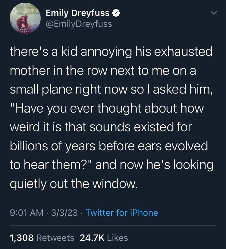 there's a kid annoying his exhausted mother in the row next to me on a small plane right now so I asked him, "Have you ever thought about how weird it is that sounds existed for billions of years before ears evolved to hear them?" and now he's looking quietly out the window.