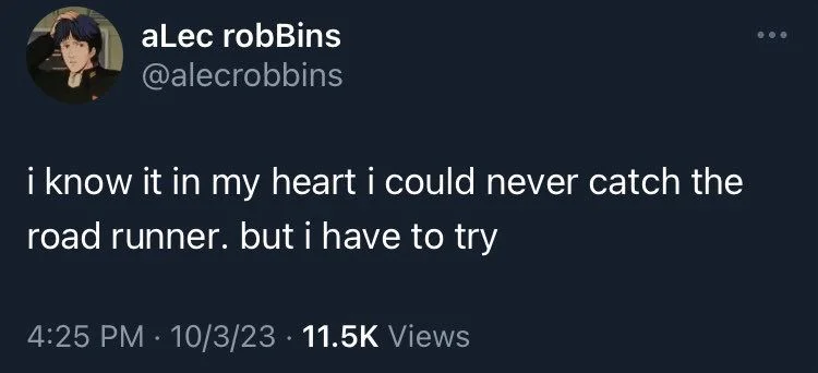 i know it in my heart i could never catch the
road runner. but i have to try