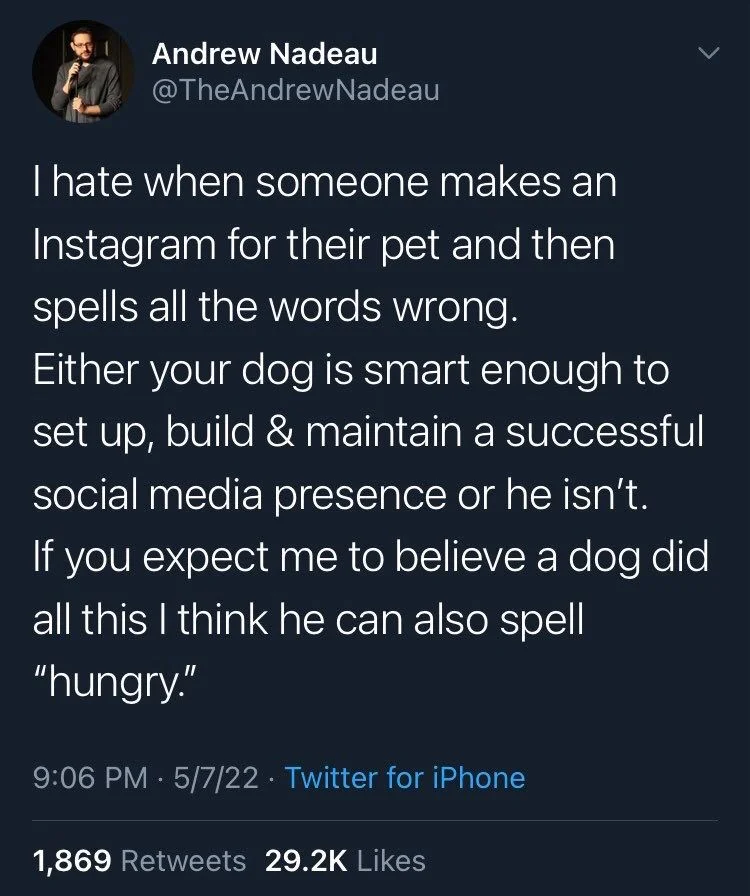 I hate when someone makes an
Instagram for their pet and then spells all the words wrong.
Either your dog is smart enough to set up, build & maintain a successful social media presence or he isn't. If you expect me to believe a dog did all this I think he can also spell
"hungry."