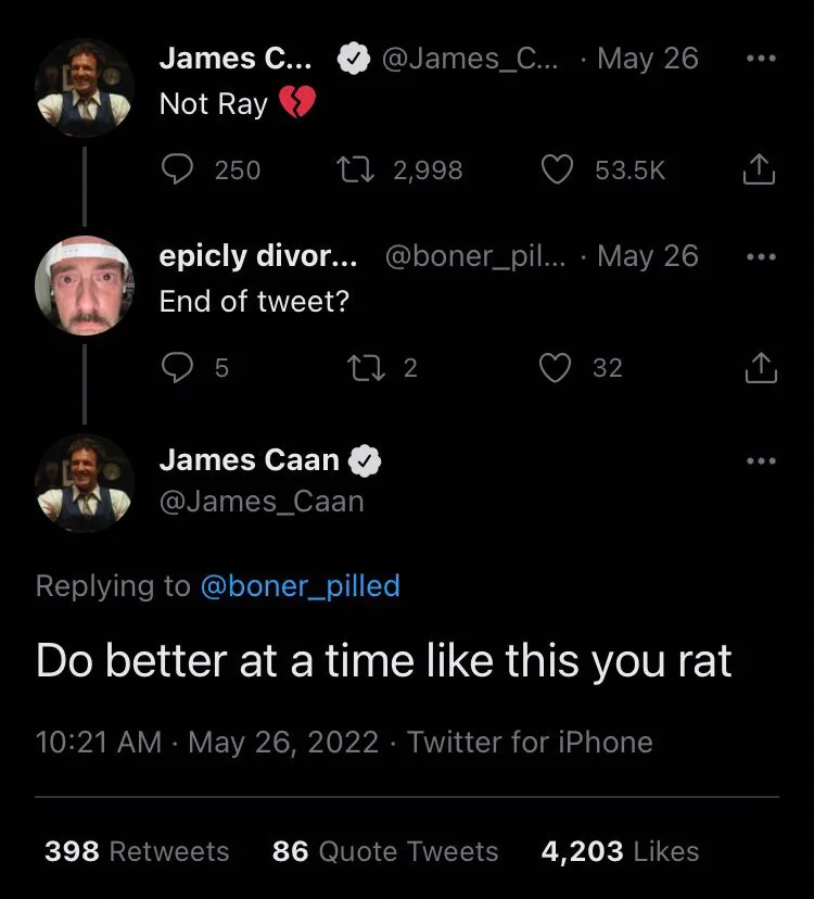 @James_Caan Not Ray (breaking heart emoji)


epicly divorced... @boner_pilled
End of tweet?


James Caan
@James_Caan
Do better at a time like this you rat
May 26, 2022