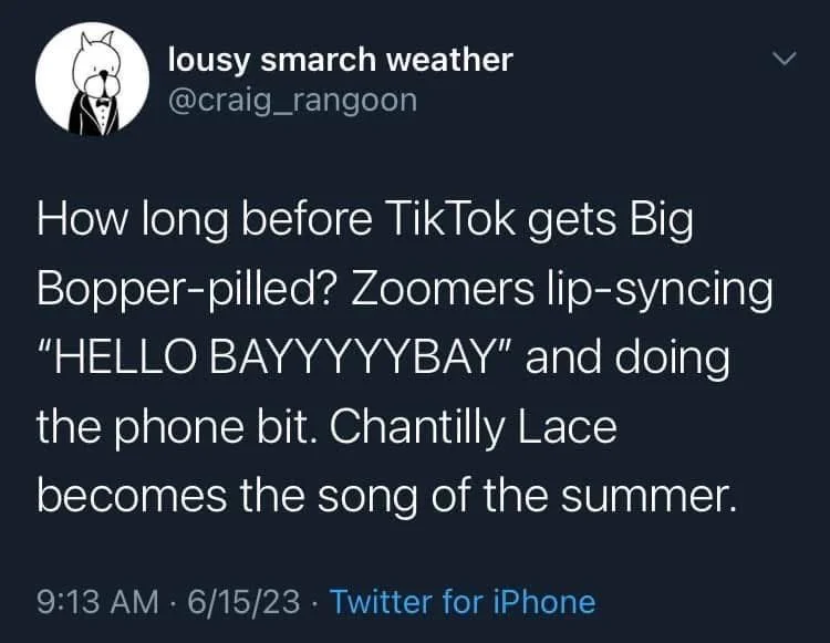 How long before TikTok gets Big Bopper-pilled? Zoomers lip-syncing "HELLO BAYYYYYBAY" and doing the phone bit. Chantilly Lace becomes the song of the summer.