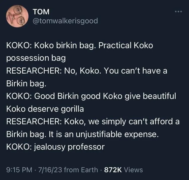 KOKO: Koko birkin bag. Practical Koko
possession bag
RESEARCHER: No, Koko. You can't have a
Birkin bag.
KOKO: Good Birkin good Koko give beautiful Koko deserve gorilla
RESEARCHER: Koko, we simply can't afford a Birkin bag. It is an unjustifiable expense. KOKO: jealousy professor