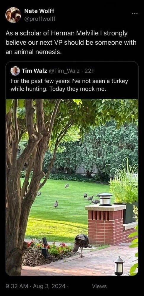 As a scholar of Herman Melville I strongly believe our next VP should be someone with an animal nemesis.

Tim Walz @Tim_Walz 22h
For the past few years I've not seen a turkey while hunting. Today they mock me.

(Photo of a yard full of turkeys)

9:32 AM Aug 3, 2024.