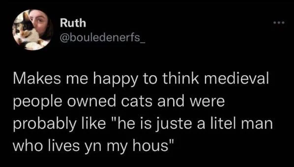 Makes me happy to think medieval people owned cats and were
probably like "he is juste a litel man who lives yn my hous"