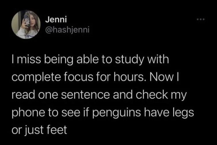 I miss being able to study with complete focus for hours. Now I read one sentence and check my phone to see if penguins have legs or just feet