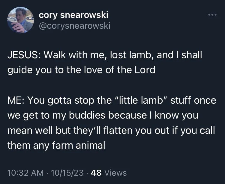 JESUS: Walk with me, lost lamb, and I shall guide you to the love of the Lord
ME: You gotta stop the "little lamb" stuff once we get to my buddies because I know you mean well but they'll flatten you out if you call them any farm animal