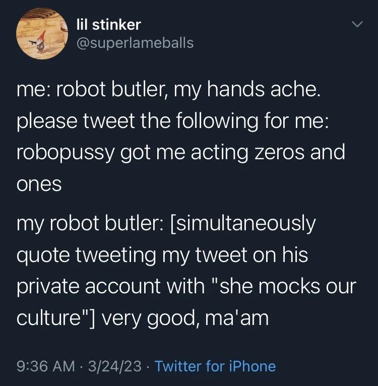 me: robot butler, my hands ache.
please tweet the following for me: robopussy got me acting zeros and
ones
my robot butler: [simultaneously quote tweeting my tweet on his private account with "she mocks our culture"] very good, ma'am