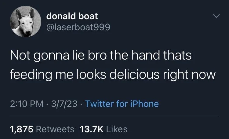 Not gonna lie bro the hand thats
feeding me looks delicious right now