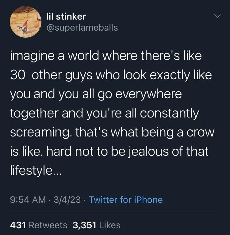 imagine a world where there's like
30 other guys who look exactly like you and you all go everywhere together and you're all constantly screaming. that's what being a crow is like. hard not to be jealous of that lifestyle...