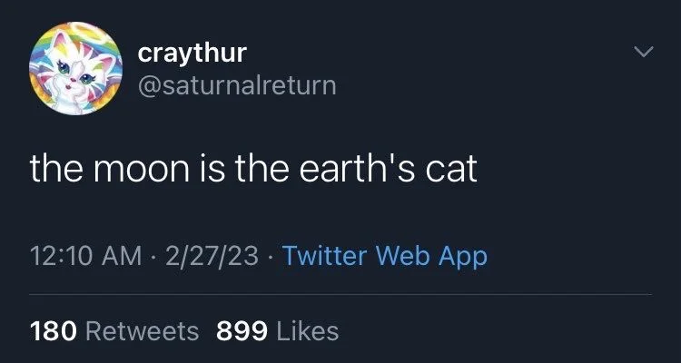 the moon is the earth's cat