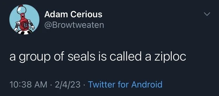 a group of seals is called a ziploc