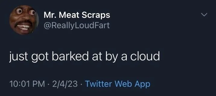 just got barked at by a cloud