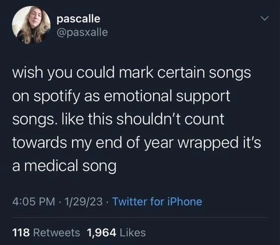 wish you could mark certain songs on spotify as emotional support songs. like this shouldn't count
towards my end of year wrapped it's a medical song
