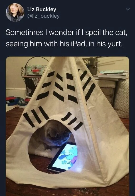 Sometimes I wonder if I spoil the cat, seeing him with his iPad, in his yurt.

(Photo: a cat in a tiny yurt watching an ipad)