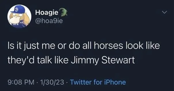 Is it just me or do all horses look like they'd talk like Jimmy Stewart
