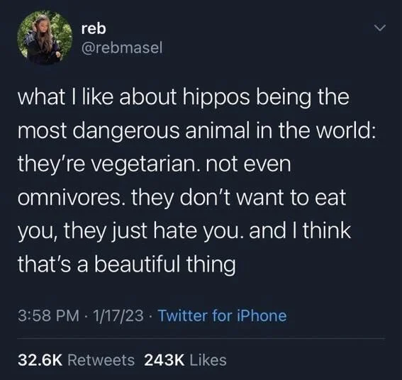 what I like about hippos being the most dangerous animal in the world: they're vegetarian. not even
omnivores. they don't want to eat you, they just hate you. and I think that's a beautiful thing
