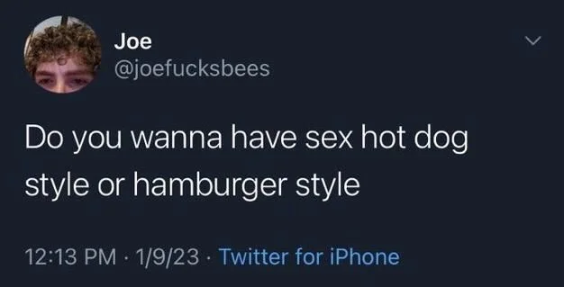 Do you wanna have sex hot dog
style or hamburger style