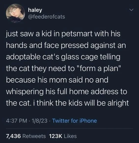 just saw a kid in petsmart with his hands and face pressed against an adoptable cat's glass cage telling the cat they need to "form a plan" because his mom said no and whispering his full home address to the cat. i think the kids will be alright