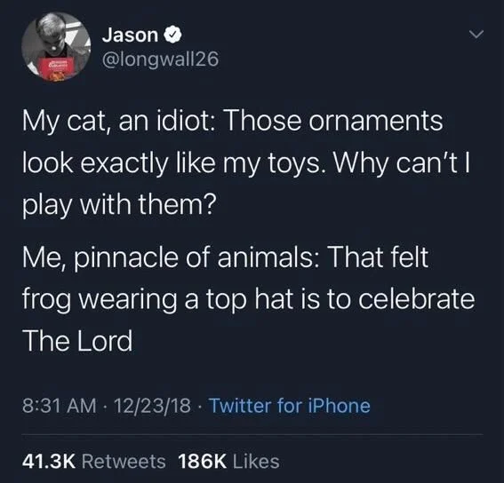 My cat, an idiot: Those ornaments look exactly like my toys. Why can't I play with them?
Me, pinnacle of animals: That felt frog wearing a top hat is to celebrate The Lord