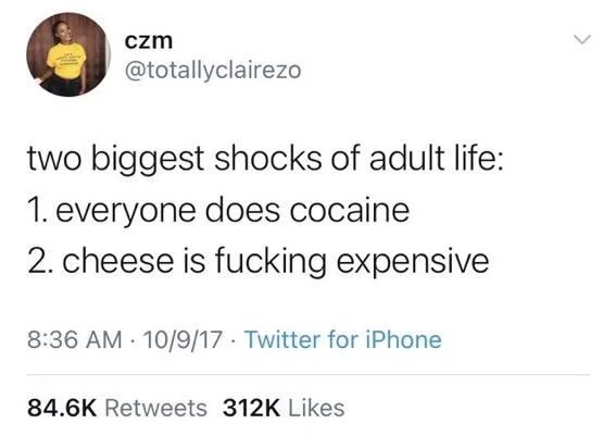 two biggest shocks of adult life: 1. everyone does cocaine
2. cheese is fucking expensive