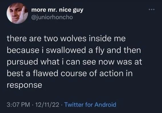 there are two wolves inside me because i swallowed a fly and then pursued what i can see now was at best a flawed course of action in response