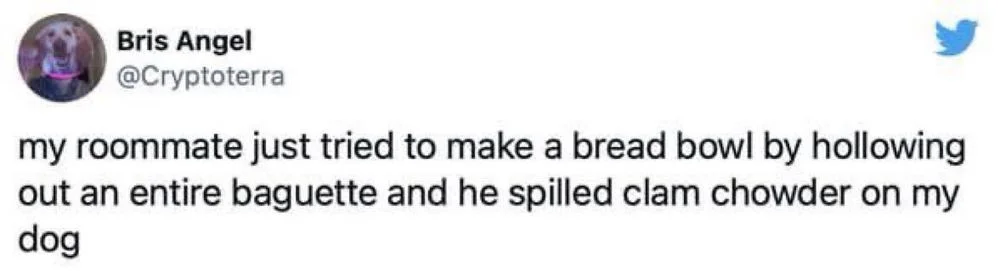 my roommate just tried to make a bread bowl by hollowing out an entire baguette and he spilled clam chowder on my dog