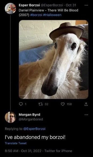 Oct 31
Daniel Plainview - There Will Be Blood 
(Photo: A borzoi dog with a Daniel Plainview hat)


Morgan Byrd @Morganbored
I've abandoned my borzoi!