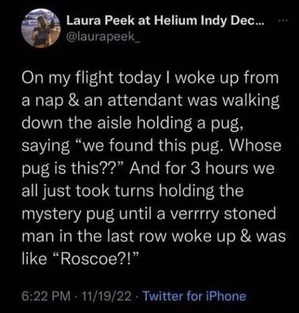 On my flight today I woke up from a nap & an attendant was walking down the aisle holding a pug, saying "we found this pug. Whose pug is this??" And for 3 hours we all just took turns holding the mystery pug until a verrrry stoned man in the last row woke up & was like "Roscoe?!"