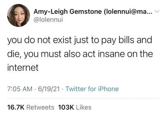 ... @lolennui
you do not exist just to pay bills and die, you must also act insane on the internet