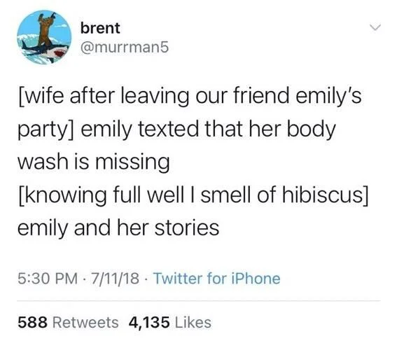 [wife after leaving our friend emily's party] emily texted that her body wash is missing
[knowing full well I smell of hibiscus]
emily and her stories