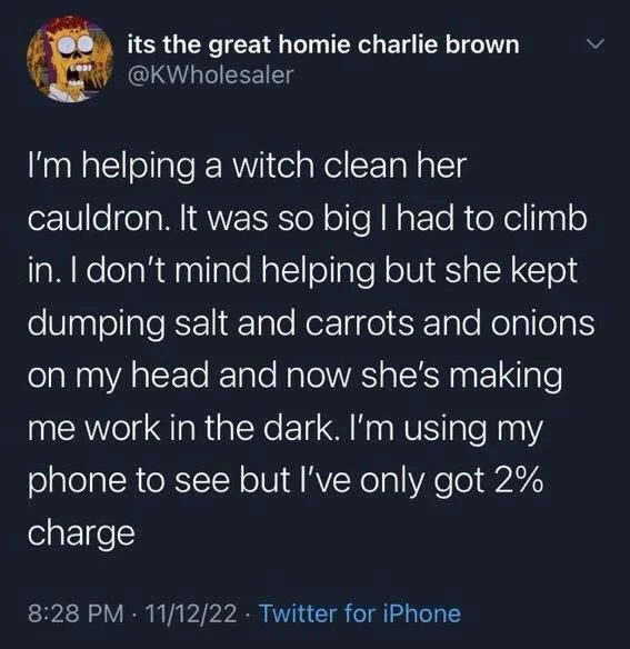 I'm helping a witch clean her cauldron. It was so big I had to climb in. I don't mind helping but she kept dumping salt and carrots and onions on my head and now she's making me work in the dark. I'm using my phone to see but I've only got 2% charge
