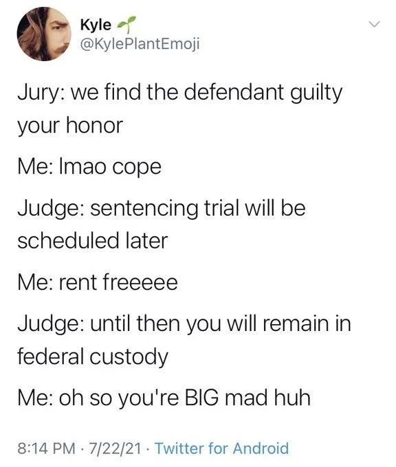 Jury: we find the defendant guilty your honor
Me: Imao cope
Judge: sentencing trial will be
scheduled later
Me: rent freeeee
Judge: until then you will remain in federal custody
Me: oh so you're BIG mad huh