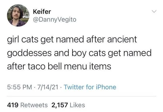 girl cats get named after ancient goddesses and boy cats get named
after taco bell menu items