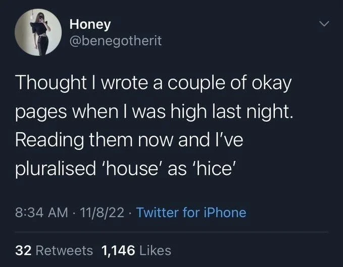 Thought I wrote a couple of okay
pages when I was high last night. Reading them now and I've
pluralised 'house' as 'hice'