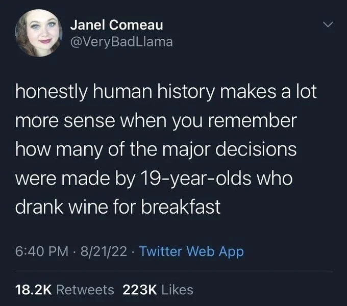 honestly human history makes a lot
more sense when you remember how many of the major decisions
were made by 19-year-olds who
drank wine for breakfast