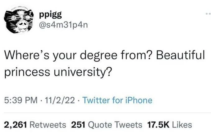 Where's your degree from? Beautiful princess university?