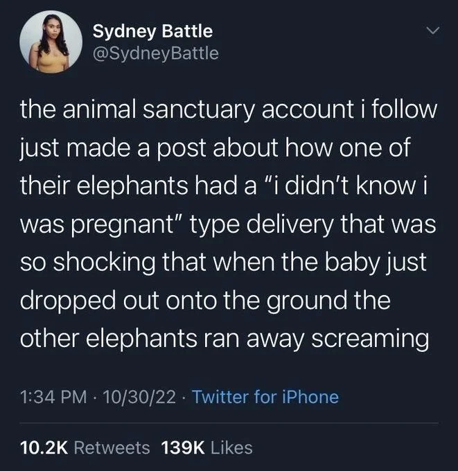 the animal sanctuary account i follow just made a post about how one of their elephants had a "i didn't know i was pregnant" type delivery that was so shocking that when the baby just dropped out onto the ground the other elephants ran away screaming