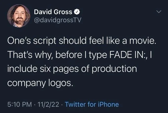 One's script should feel like a movie.
That's why, before I type FADE IN:, I include six pages of production
company logos.