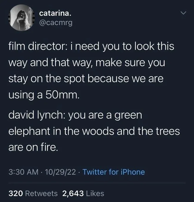 film director: i need you to look this
way and that way, make sure you
stay on the spot because we are using a 50mm.
david lynch: you are a green elephant in the woods and the trees
are on fire.