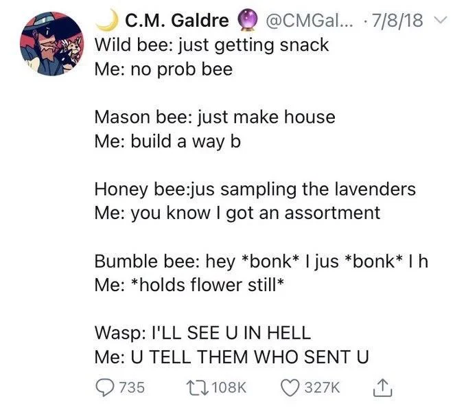 ...
Wild bee: just getting snack
Me: no prob bee
Mason bee: just make house
Me: build a way b
Honey bee:jus sampling the lavenders Me: you know I got an assortment
Bumble bee: hey *bonk* I jus *bonk* I h Me: *holds flower still*
Wasp: I'LL SEE U IN HELL
Me: U TELL THEM WHO SENT U