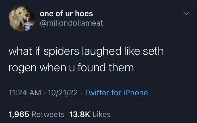 what if spiders laughed like seth rogen when u found them