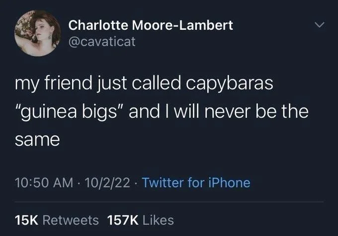 my friend just called capybaras
"guinea bigs" and I will never be the
same