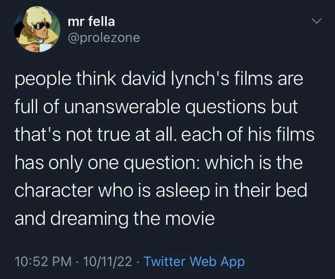 people think david lynch's films are full of unanswerable questions but that's not true at all. each of his films has only one question: which is the character who is asleep in their bed and dreaming the movie