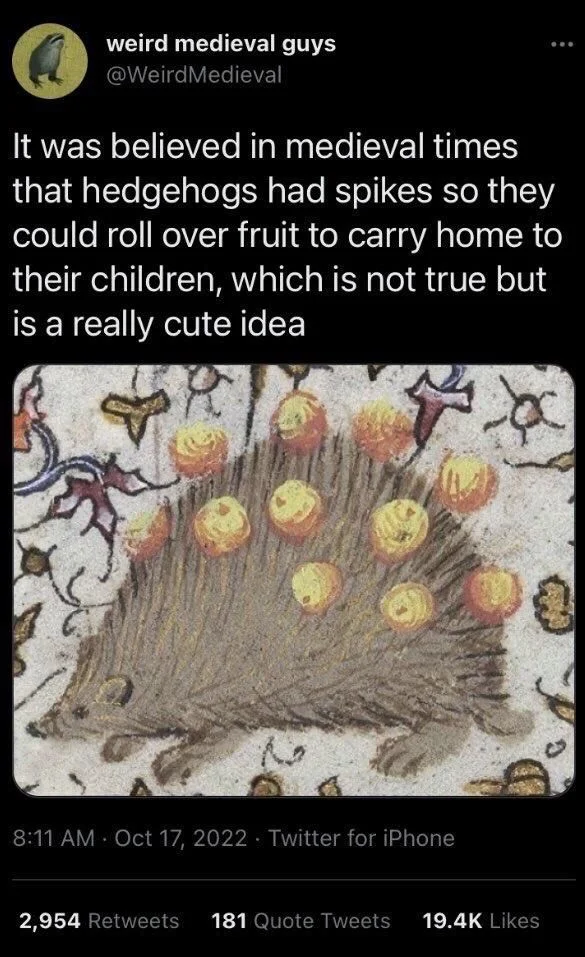 It was believed in medieval times that hedgehogs had spikes so they could roll over fruit to carry home to their children, which is not true but is a really cute idea

(medieval image of the same)